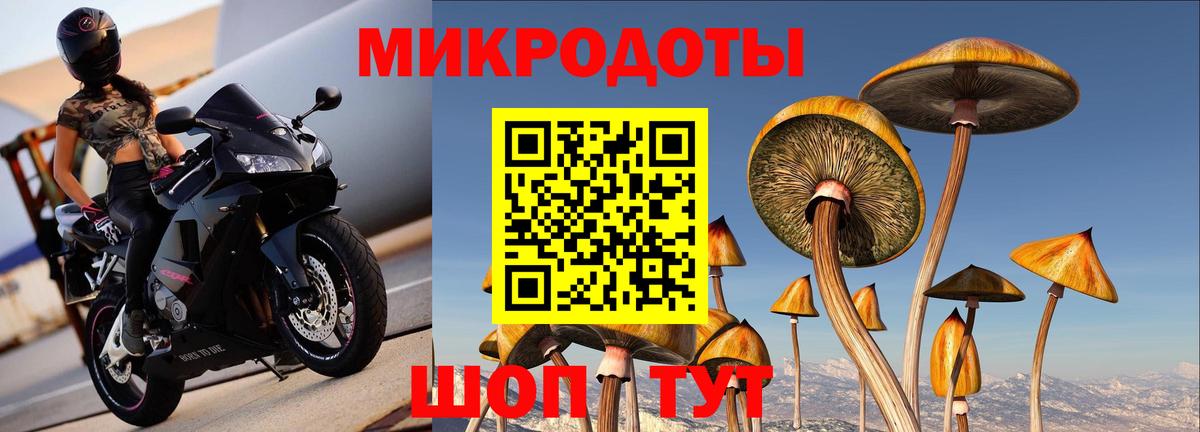 Галлюциногенные грибы Cubensis  Вход с VPN  Люберцы 